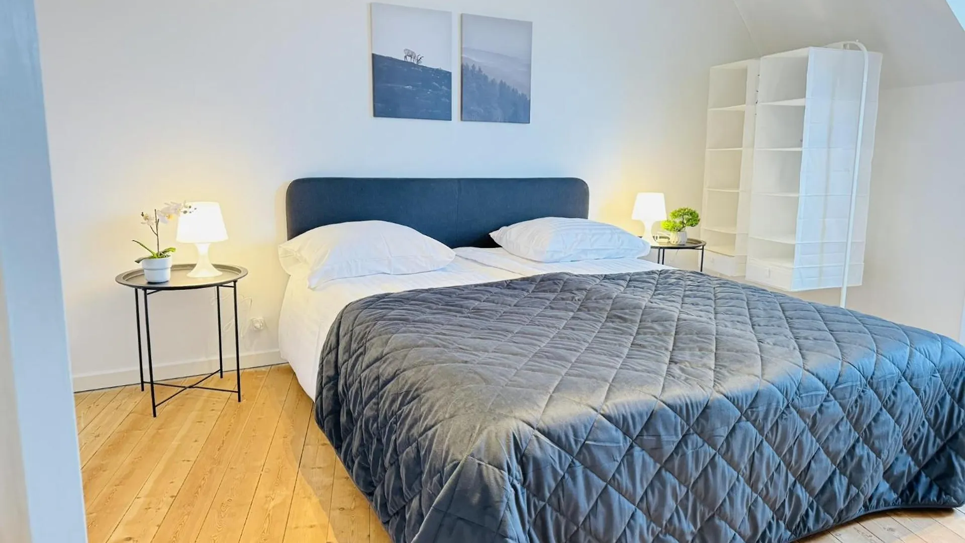 Aday - Starlight 2 Bedrooms Apartment In The Heart Of Aalborg